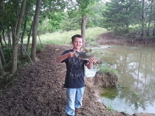 im a country boy