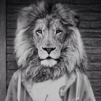 Adrien (@adrien_nab) 's Twitter Profile