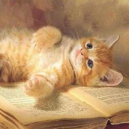 Amaria4565's profile picture. 