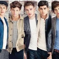 My bigest dream is to meet 1D! I love you Liam,Louis,Harry,Niall and Zayn! I wiish i live in London!