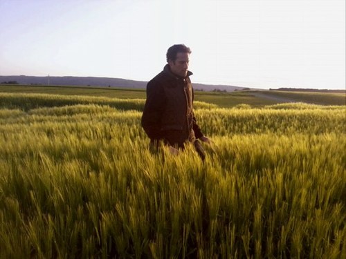 Cereal Pathologist with Teagasc at Oak Park Carlow