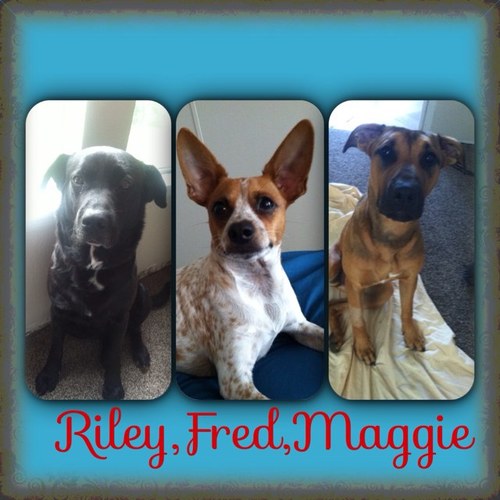 Instagram, Vine, facebook,➡rileyfredmaggie⬅
