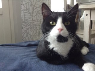 turhaaaaaaa's profile picture. 