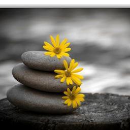 HarshRealityy's profile picture. Just tweeting about life.