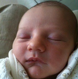 bigbearami's profile picture. 