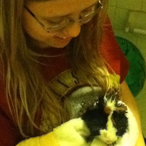 Hedgeee's profile picture. 