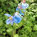 Jane Clifford - @JEClifford - Twitter