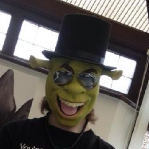 funkydiscochimp's profile picture. 