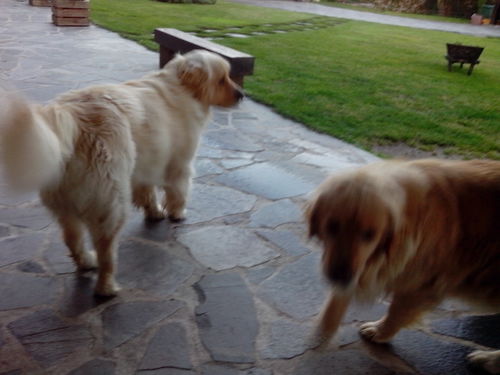 guerra1952's profile picture. 