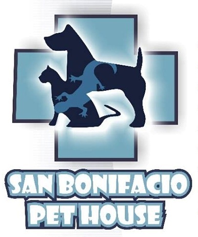 Médico Veterinario especialista en medicina interna y cirugia de pequeños animales.