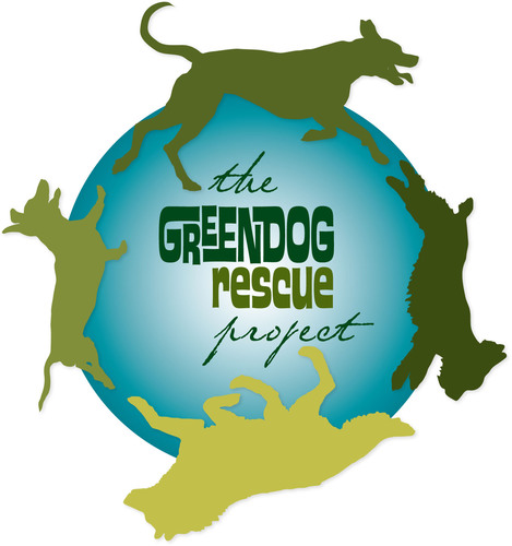 Green Dog Rescue Project is a nonprofit revolutionizing the current shelter model with a nature based alternative.
