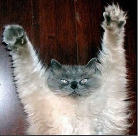 bravodima's profile picture. Ого! Ага! Того!