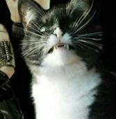 tammyanita73's profile picture. happily married wife n mother