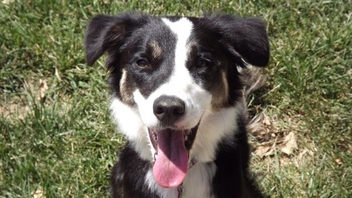 JencksMargaret's profile picture. 