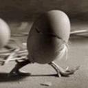 Meredith Morrison - @MeredithMorri20 - Twitter