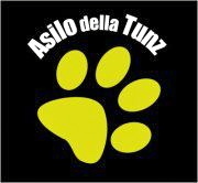 asilo..pensione.. educazione per cani..