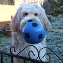 kevin flinn - @kevflinn - Twitter