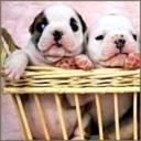 Kate Glenn - @KateGlenn12 - Twitter