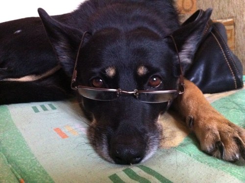 bigser70's profile picture. 