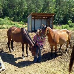 Liberty University Student, works at Roanoke Valley Horse Rescue, Owner of Facebook page called Horse Talk.