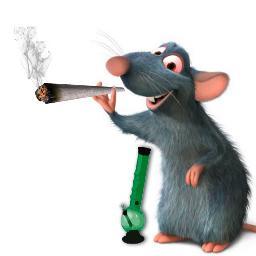 Soy la rata que mata todas las chustas de los porros....
