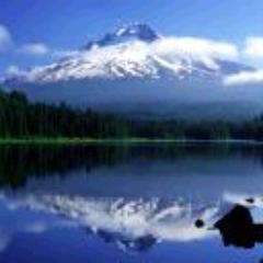 painter, Broker, Popular Music, Endocrinologist