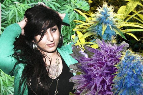 SophiaWafa's profile picture. 