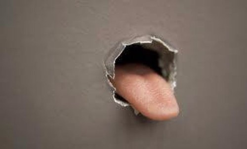 tigershark82's profile picture. Yea Yeah!