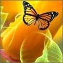 Fred Pappas - @FredPappas - Twitter