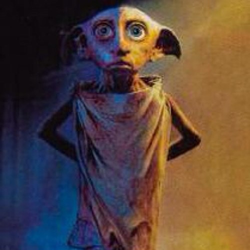 Dobby, l'elfe libre.