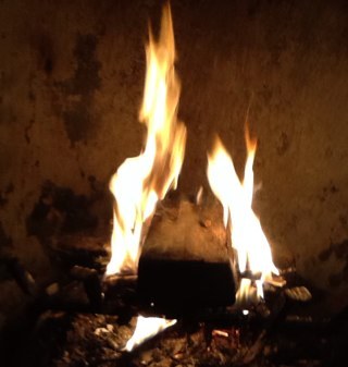 aldofenocchio's profile picture. 