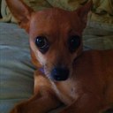 Lori Lomax - @LoriLomax1 - Twitter