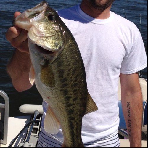 bdawk86's profile picture. 