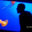 Derek H Crow - @DerekCrow2 - Twitter