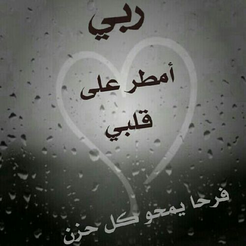 ليس كل مااكتبه يحكي واقعي لكن غيري يحتاجه{اميره شمر }