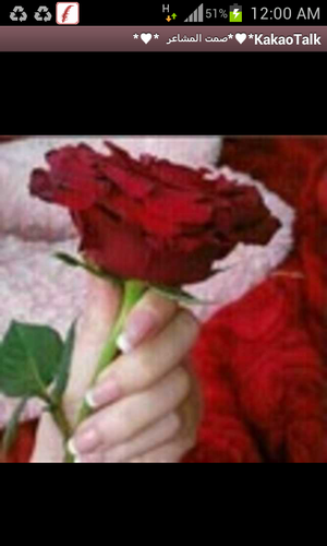 azeza661's profile picture. 