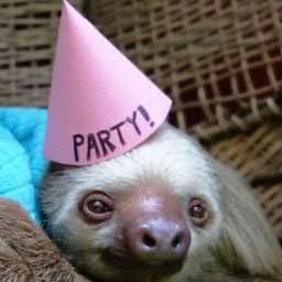 Most swag sloth ever, Wizard, Demon Hunter, Knock-Knock Joke master