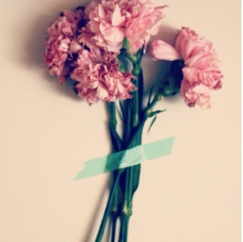 الحياة قصيره... سأعيشها كما أحب ليس كما يحب غيري snap /jana alward