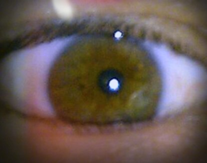 Remember, you fecking eejuts I'm always watching!