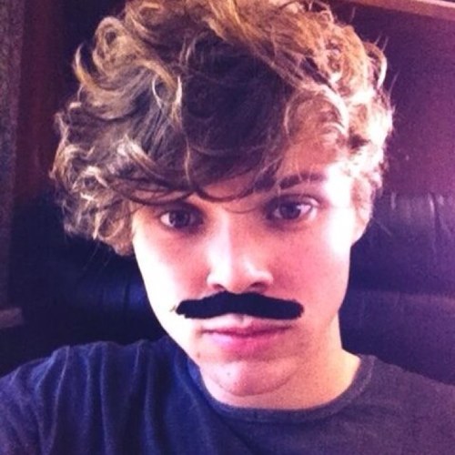 odmxfos's profile picture. follow @typicalum pls