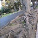 Marisol Ruelas - @MarisolRDCT - Twitter