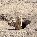 Stacey Boles - @BolesSm - Twitter