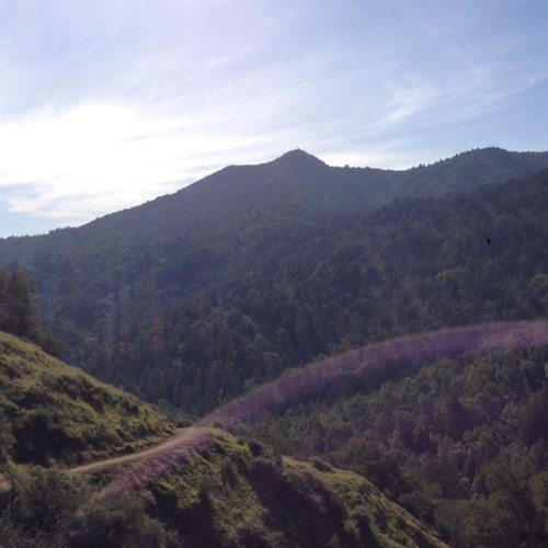 tamobserver's profile picture. Smiling across Marin County and the San Francisco Bay.