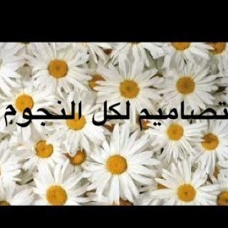 لكل النجوم مولازم اطفال