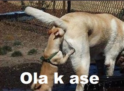 HolaaaAjgyg's profile picture. olaa k ace?