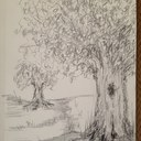 Donna Marcotte - @dmm624 - Twitter