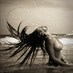 TiZoZioBlé (@tizoziobleu) Twitter profile photo