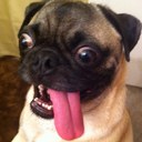 Caleb Forbes - @CforBeez - Twitter