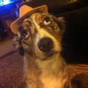 max hester - @HesterMax - Twitter