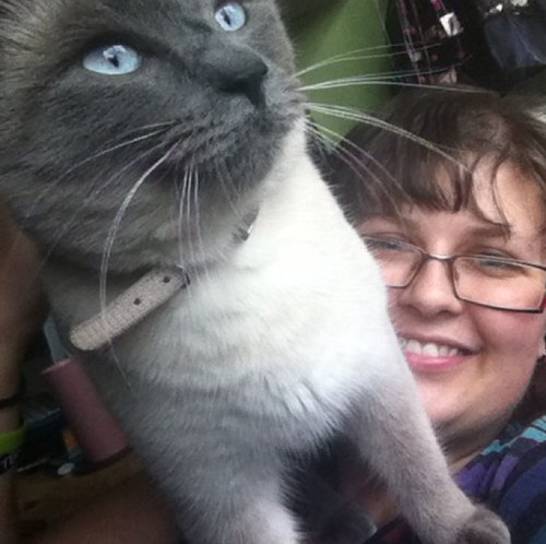 SarahRadbourne's profile picture. 